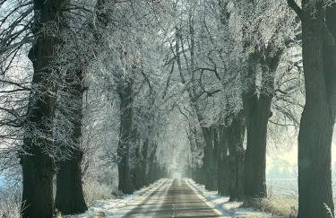 Młyn Sea&Golf w Kołczewie - Foto 10