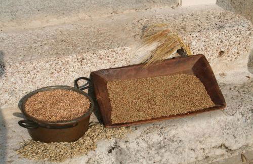 Agriturismo La Cascina di Opaco - Foto 38