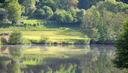 studio "Au Bord de l'Eau" 2 - Photo 3