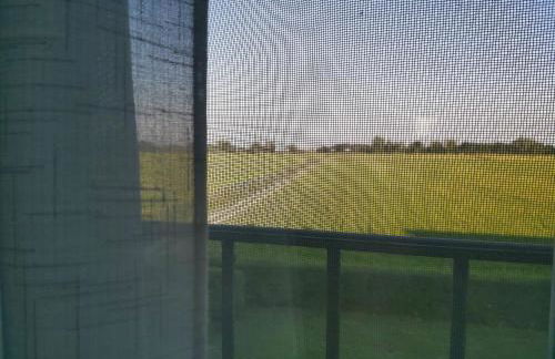 Agriturismo Raimondi Cominesi Amilcare - Foto 10