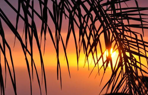 The Great Kona Escape - Foto 24