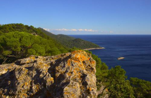 Apartment & Studio Mali Bulo - Photo 37