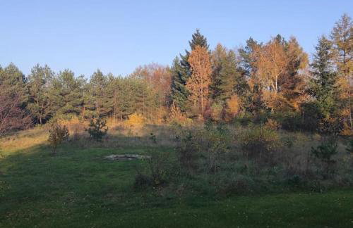 Ślusarnia-domek z sauną i balią nad jeziorem, Kaszuby - Foto 46