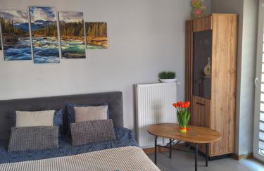 Apartament Górska Szarotka - Foto 5