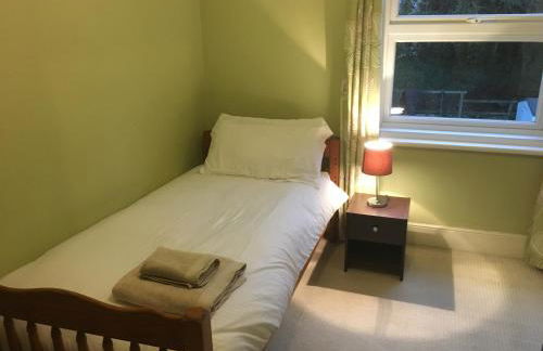 Executive Victorian House - Photo 29