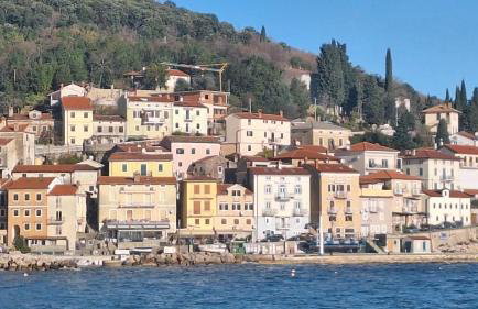 Apartments Blue & Green - Foto 59