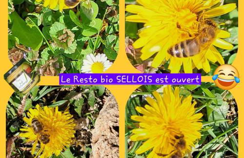 Superbe appart rénové vue sur Meuse Le Chic dans le pré - Foto 18