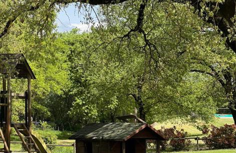 Il Felcino - Photo 14