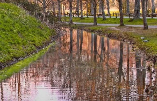 Arundel Cottage Retreat - Foto 12