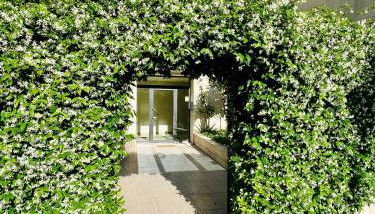 Elegant Apartment Villa Bianca - Foto 3, Garden, Garden view