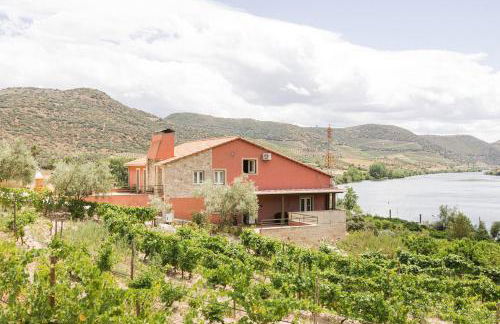 Olhares do Douro - Foto 1