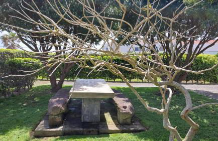 Retiro das Camélias 1 - Foto 24