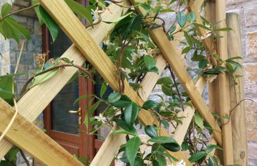 Residence Sophora - Foto 23