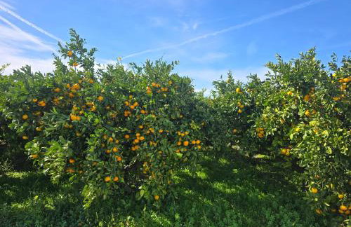 Stara kuća - Photo 32