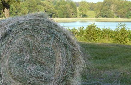 Siedlisko Szwałk - Foto 31