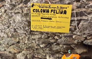 The Sweet home close to castle- Ameglia 19031 - Via Avenza - Foto 10