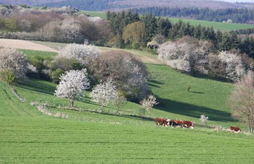 Jagdhaus Maja - Foto 29