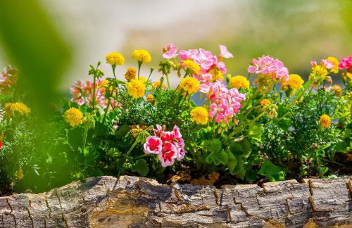 VillaNuova - Foto 32