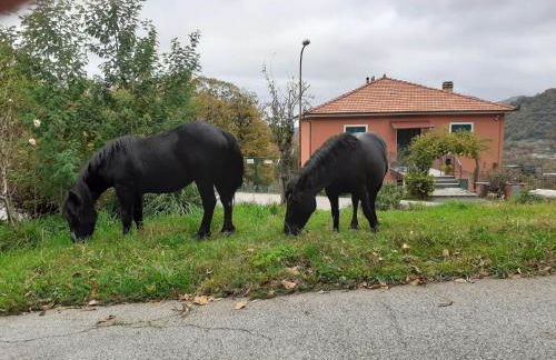 La casa di Mirella - Foto 6