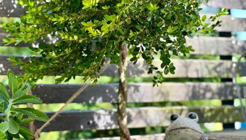 Ferienwohnung Teichblick - Foto 2