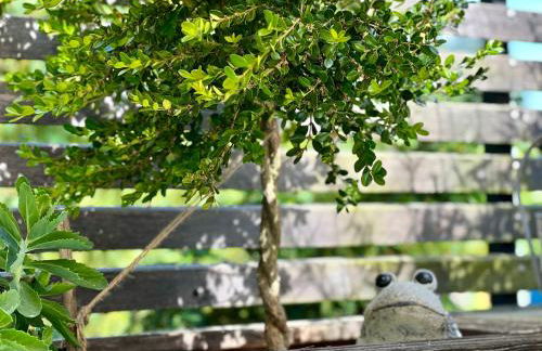 Ferienwohnung Teichblick - Foto 2