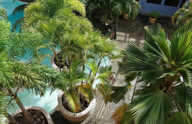 Condo Del Cielo - Foto 26