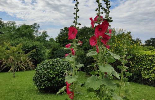 La 154 - Second Souffle - Cherbourg - Foto 21