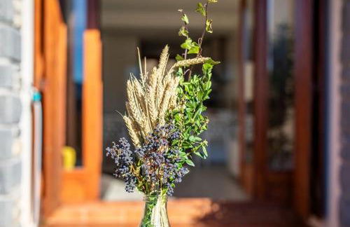 Casa Nieves - Photo 32