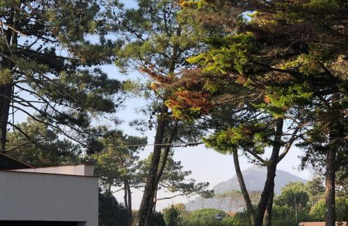 Casa de Santo António Moledo - Foto 42