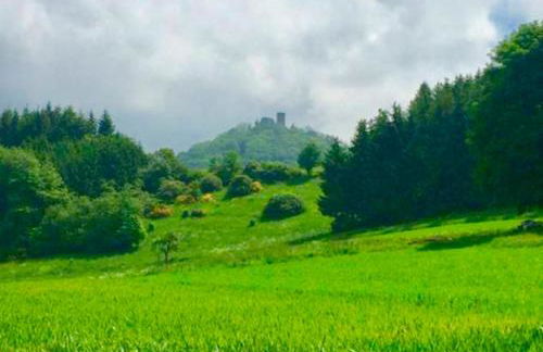 Nordschleife Apartment A1 Für bis zu 10 Personen - Foto 60