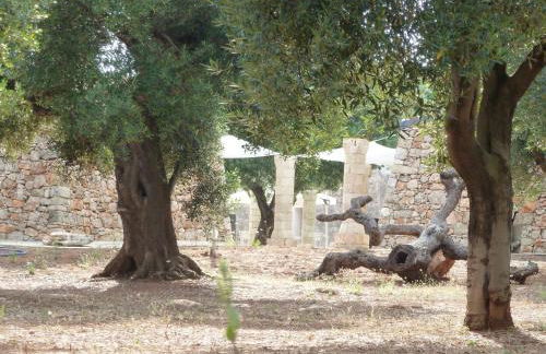 Tenuta Serre - Foto 42