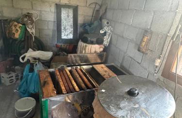 Flotillen Segeln in Griechenland inklusive Skipper und Tourguide 7 Nächte mit 7 Inseln im Ionischen Meer An- und Abreise SAMSTAG Kojencharter und Mitsegeln - Foto 34