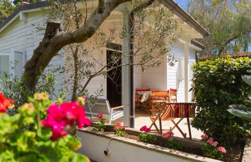 AGRITURISMO SCALELLE - Foto 42