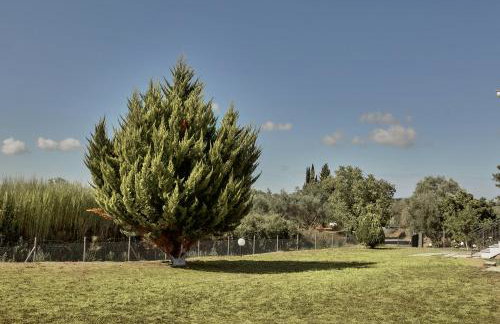 Villa Ancient Olympia by PCL - Foto 57