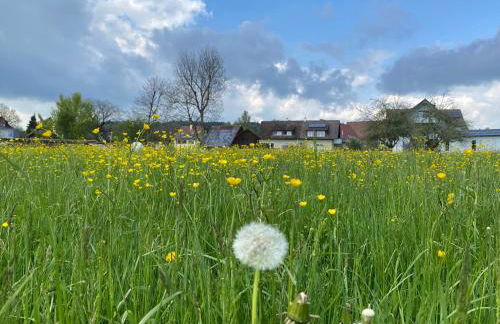 Am Brunnen - Foto 15