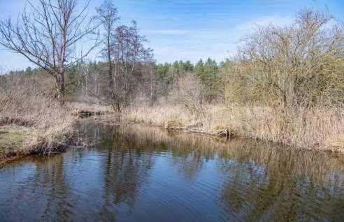 Amazing Home In Gietrzwald With Wifi - Foto 11