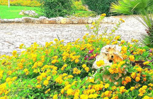 Casa Marisa Villa Vacanza - Foto 56