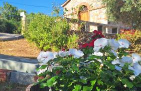 Armonia Guesthouse - Foto 30