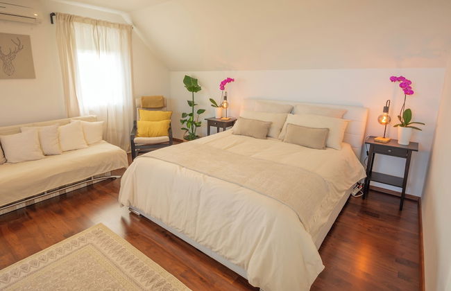 Vineyard cottage Jelenov hrib - Foto 1