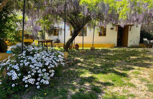 Monte Emitaj - Foto 16