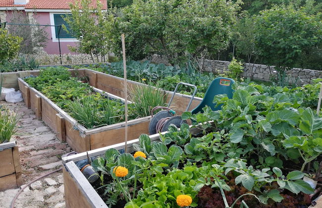 Villa Manda Korina - Foto 66