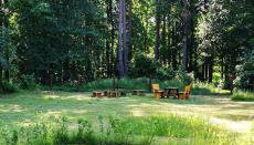 Leśne Domki Wejsuny - Foto 5, Garden