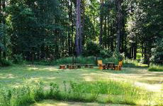 Leśne Domki Wejsuny - Foto 5