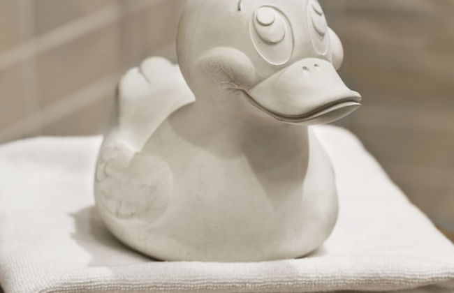 Stay KooooK Bern Wankdorf – Online Check In - Foto 60