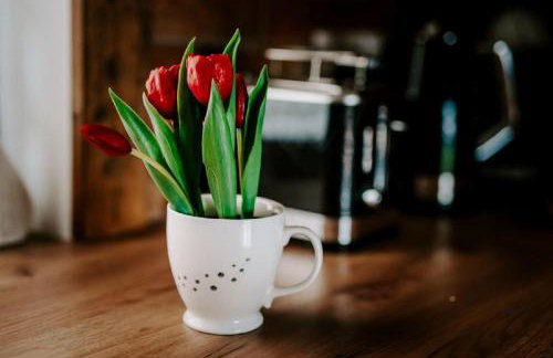 LassChata - Domki w górach z balią oraz sauną - Foto 11