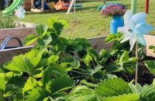 Domek Gruszkowy Wzorek - Foto 27