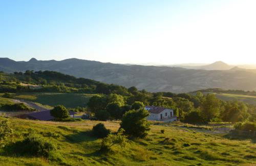 Fattoria Bio L'A Ceccoli - Foto 21