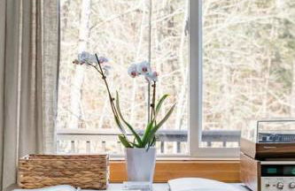 Serene Retreat on a Stream - Photo 24