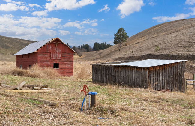 Costitch Lake Homestead Extraordinary Views! - Photo 22