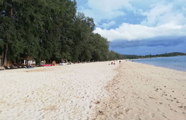 Freedom Estate - Photo 32